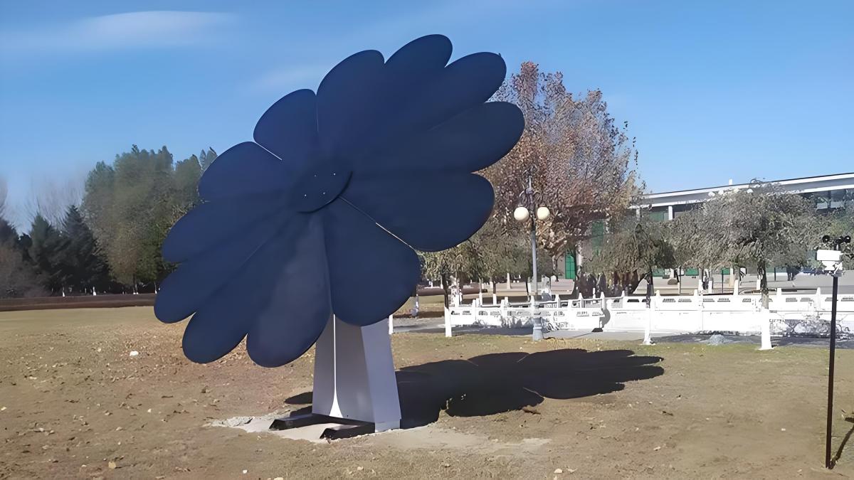 491.jpg