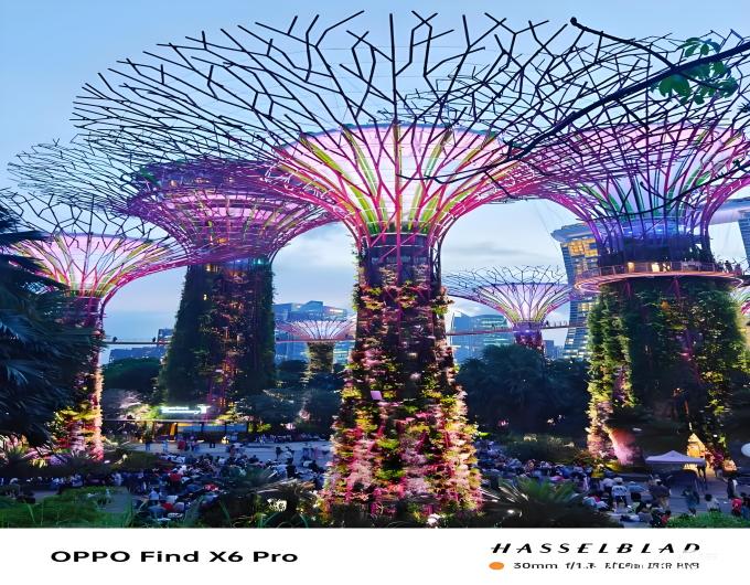 太阳能景观树如何维护？