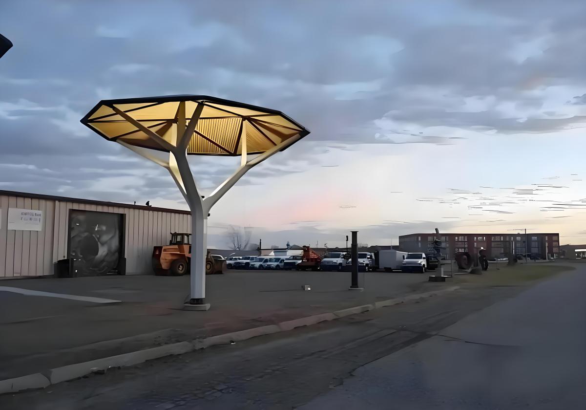 4193.jpg
