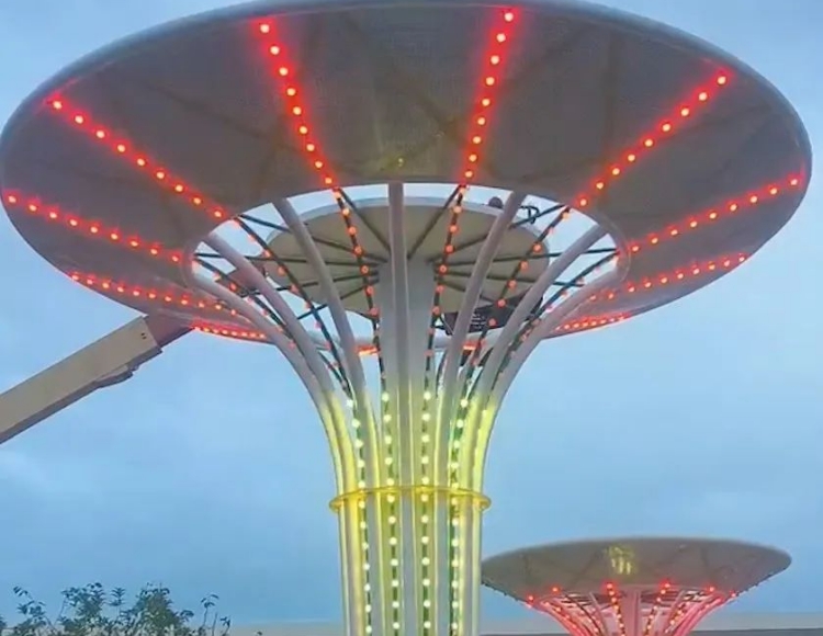 太阳能景观树能夜间照明多久？